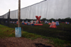 xball1