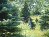 Ho Chi Mihm Trail