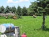 Sherwood Forest